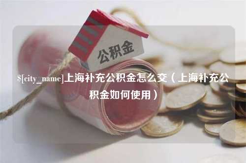 赵县上海补充公积金怎么交（上海补充公积金如何使用）