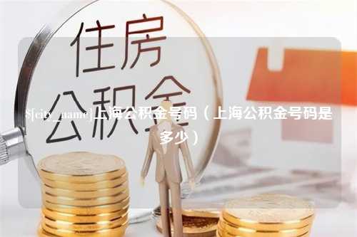 赵县上海公积金号码（上海公积金号码是多少）